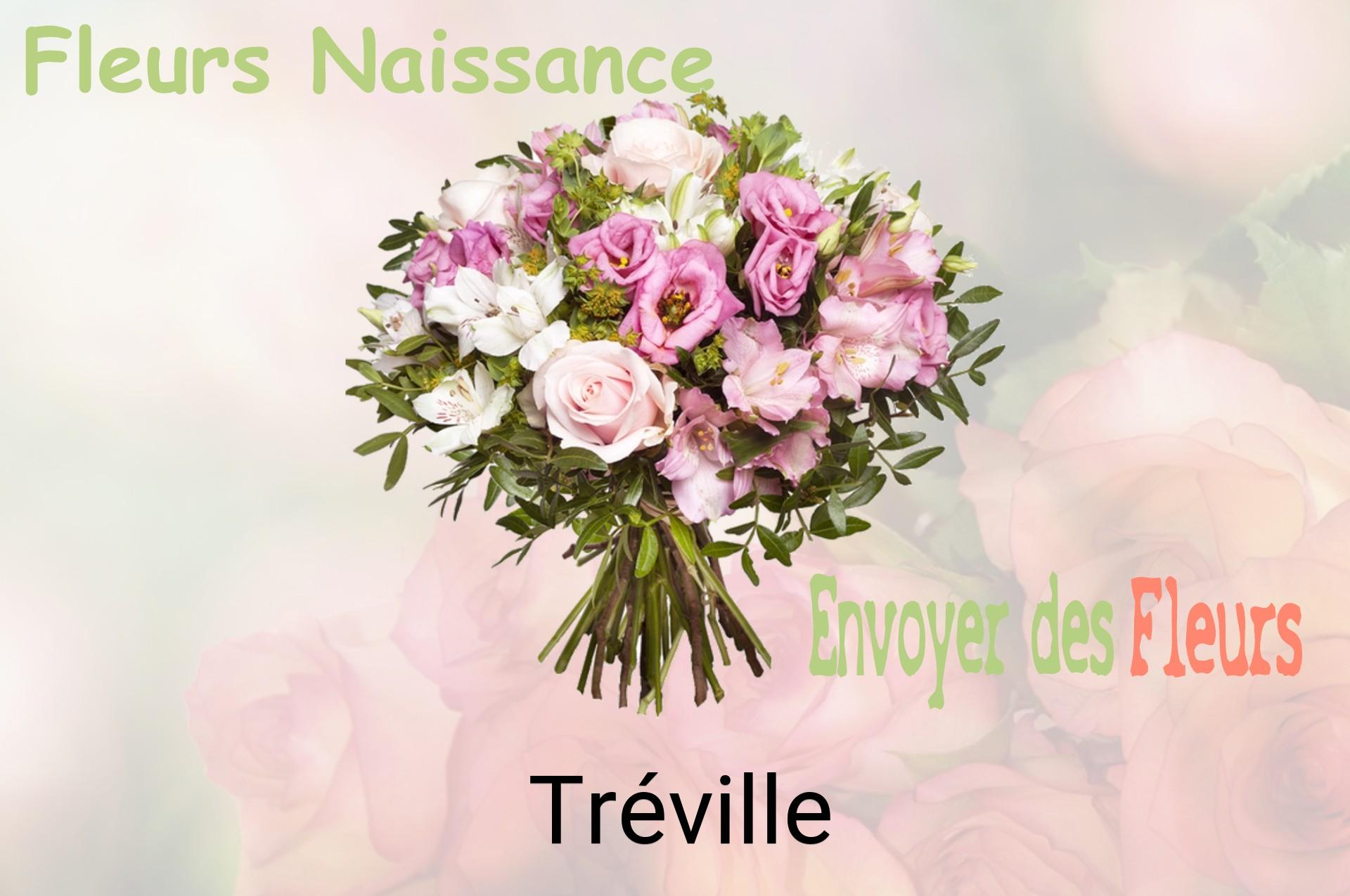 Bouquet de fleurs de naissance livré à Tréville