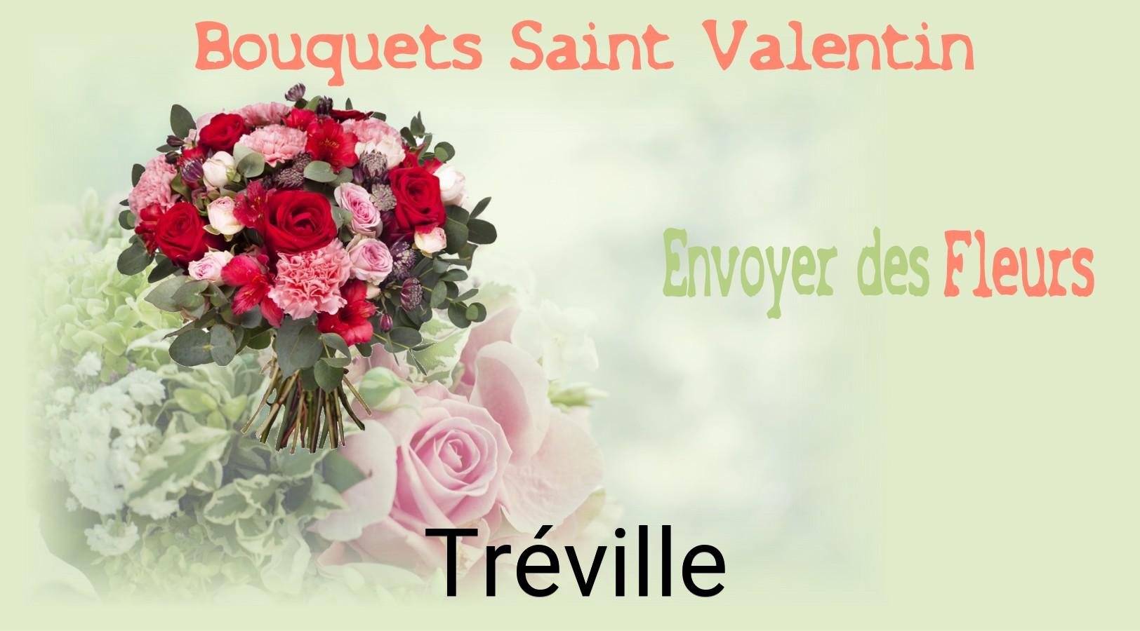 Roses de Saint-Valentin livrées à Tréville