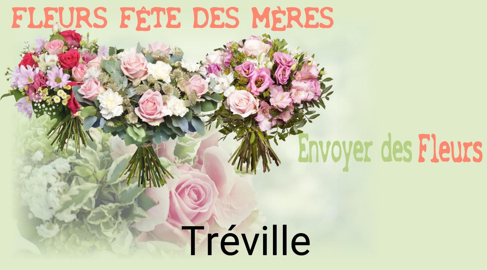 Bouquet de Fête des Mères livré à Tréville